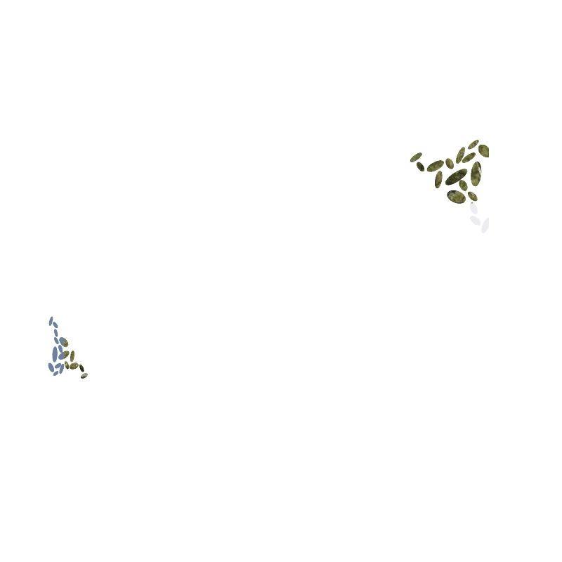 GALET