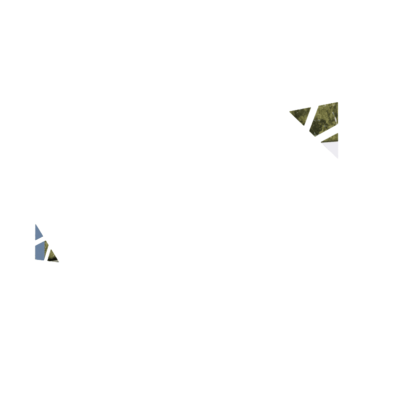 OBLIQUE