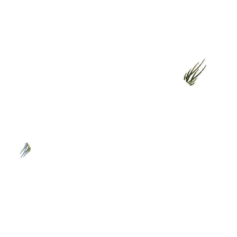 TRIBALE