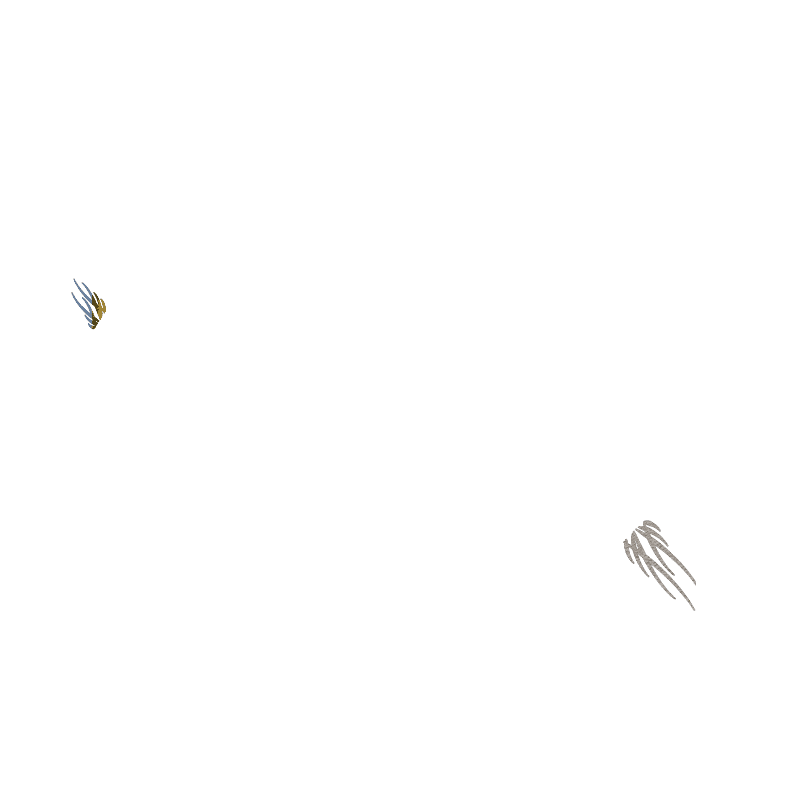 TRIBALE
