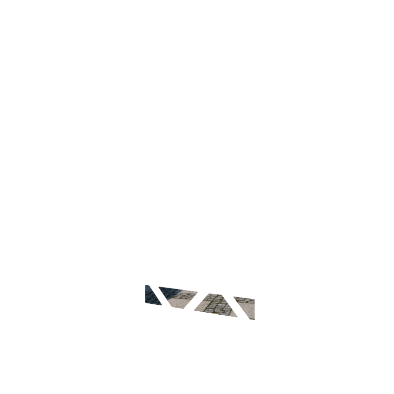 OBLIQUE