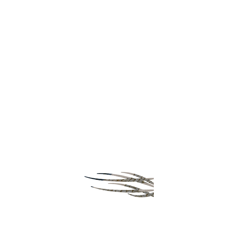 TRIBALE