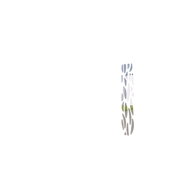 Pétales